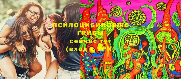 прущая мука Алзамай