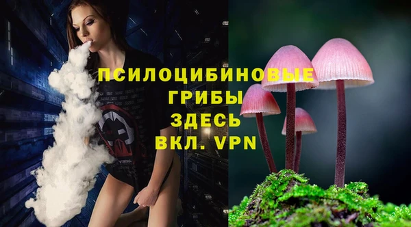 прущая мука Алзамай