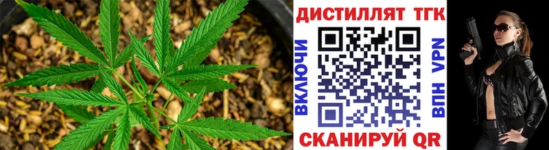 дарнет шоп  Андреаполь  ТГК вейп с тгк 